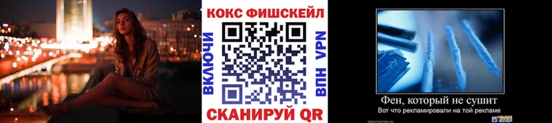 Cocaine Fish Scale  купить закладку  Камышин 