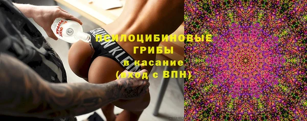 прущие грибы Нефтекумск