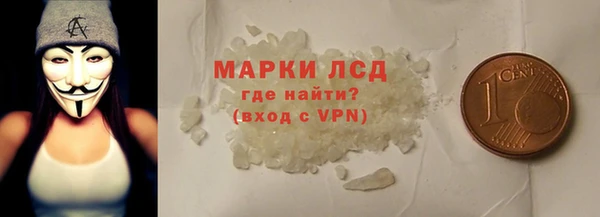 прущие грибы Нефтекумск